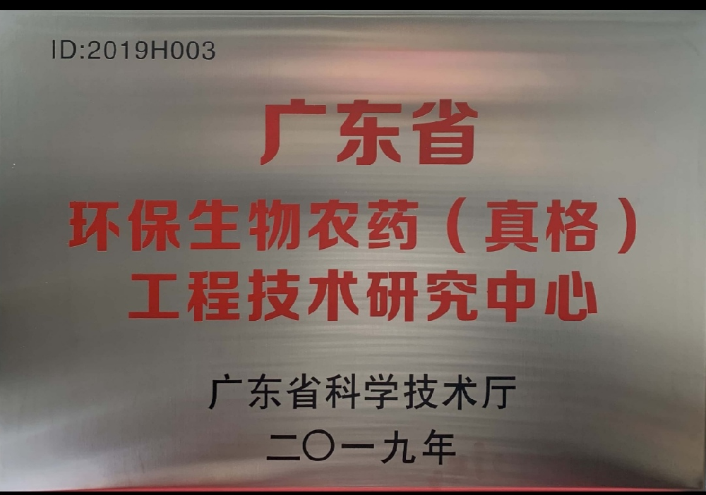 金榜提名，载誉归来