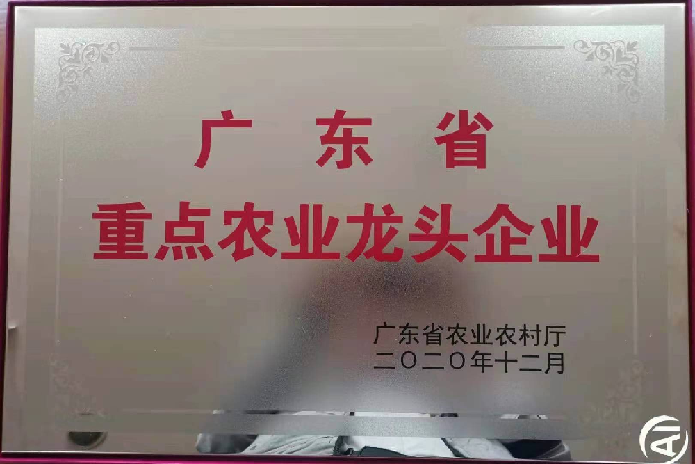更上一层楼！追求无止境