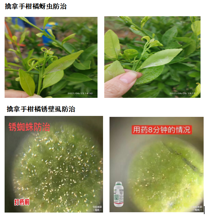 针对这个可控难治的病，我们有高招！